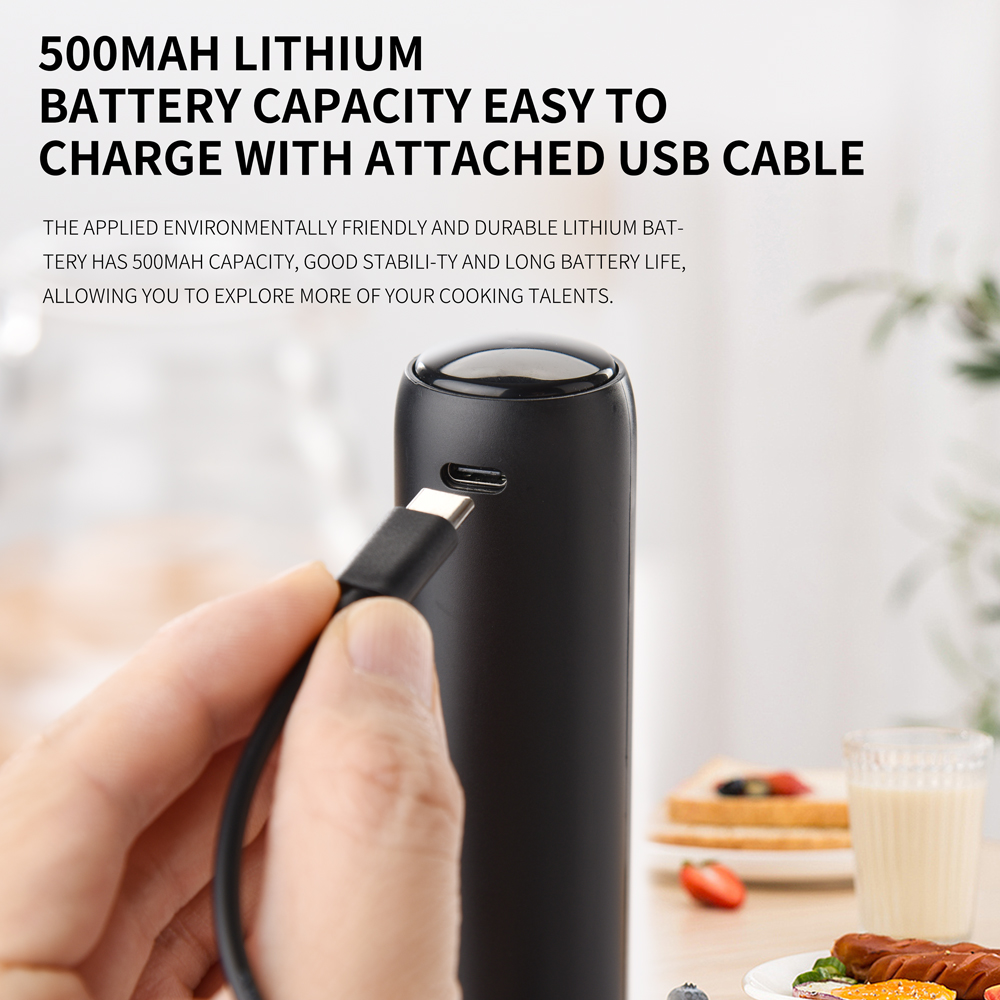 Kitchen Powerful Stirrer Milk  - đánh giá và giá Kitchen Appliances Germany