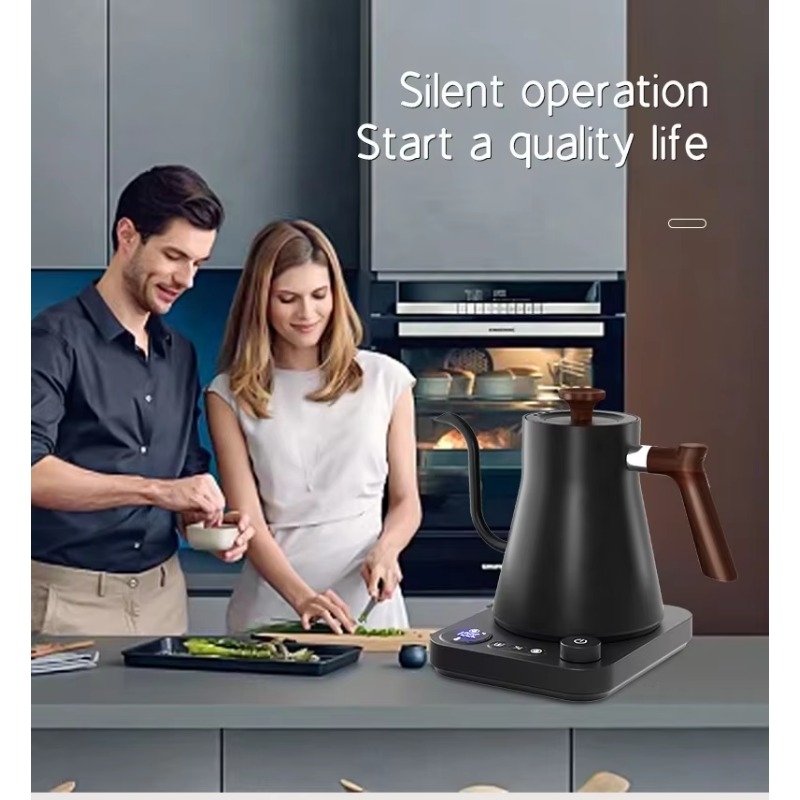 New Design Fish Smart Electric - đánh giá và giá Electric Kettle Gooseneck