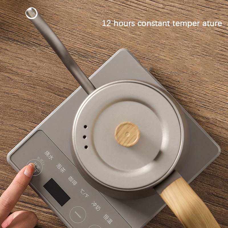 110v 220v Kettle teapot goose  - đánh giá và giá Electric Kettle Gooseneck