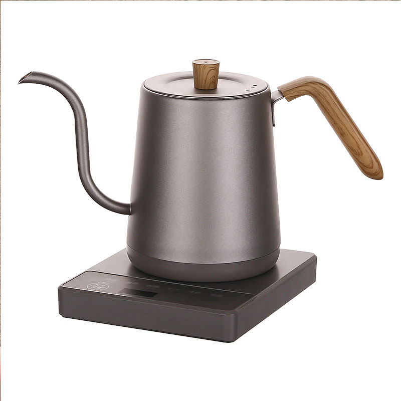 110v 220v Kettle teapot goose  - đánh giá và giá Electric Kettle Gooseneck
