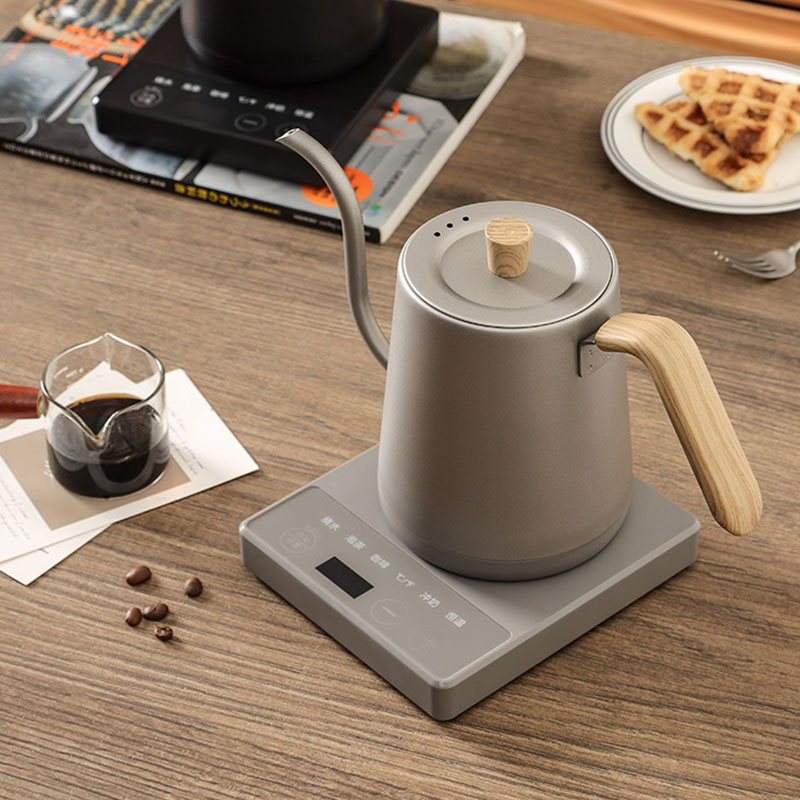 110v 220v Kettle teapot goose  - đánh giá và giá Electric Kettle Gooseneck