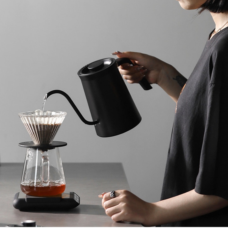 MHW-3BOMBER Electric Temperatu - đánh giá và giá Electric Kettle Gooseneck