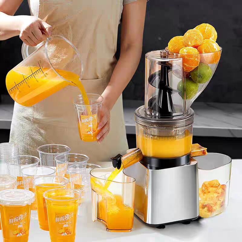 500W Hot Sale Silver Body Cold - đánh giá và giá Juicer Cold Press Slow