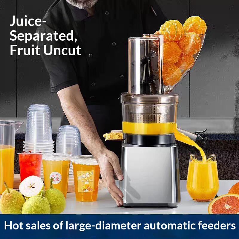 500W Hot Sale Silver Body Cold - đánh giá và giá Juicer Cold Press Slow
