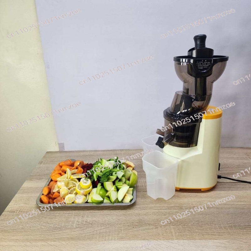 76mm Large Diameter Slow Juice - đánh giá và giá Juicer Cold Press Slow