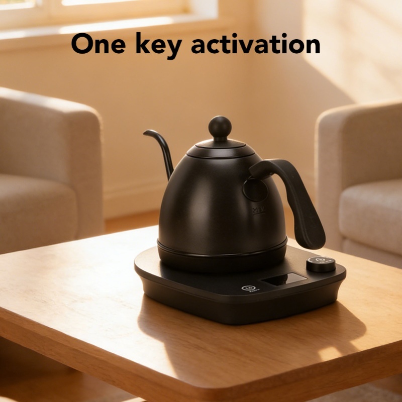 1000W Electric Gooseneck Kettl - đánh giá và giá Electric Kettle Gooseneck