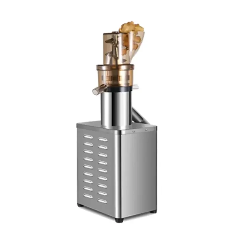 Professional Juicer Extractor  - đánh giá và giá Juicer Cold Press Slow
