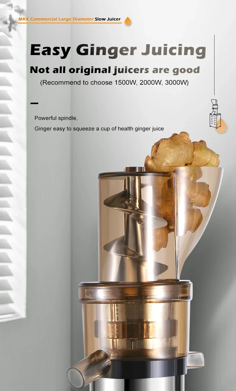 Professional Juicer Extractor  - đánh giá và giá Juicer Cold Press Slow