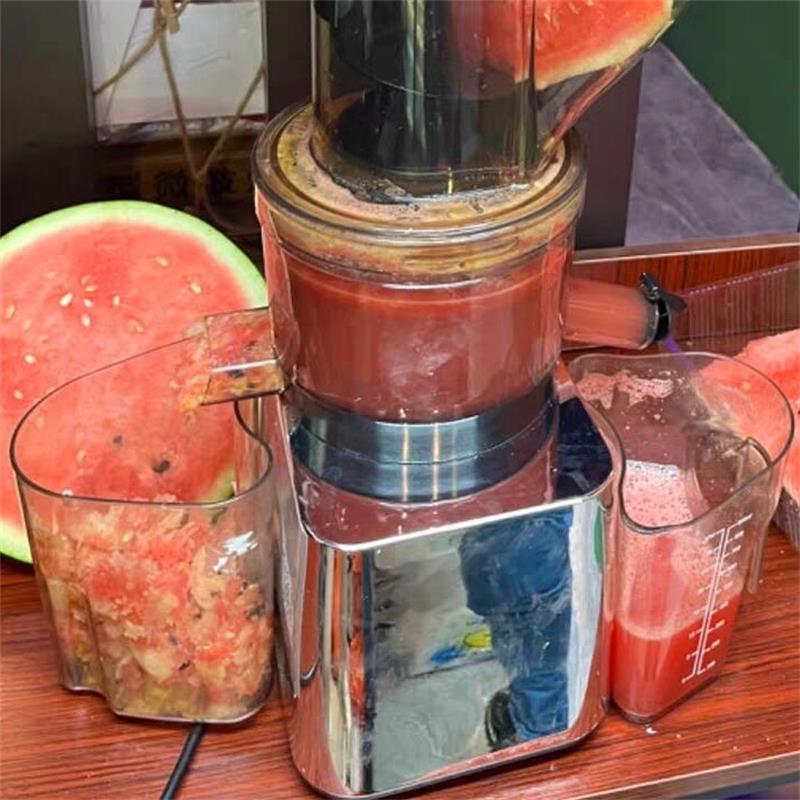 500W Commercial Use Home Use S - đánh giá và giá Juicer Cold Press Slow