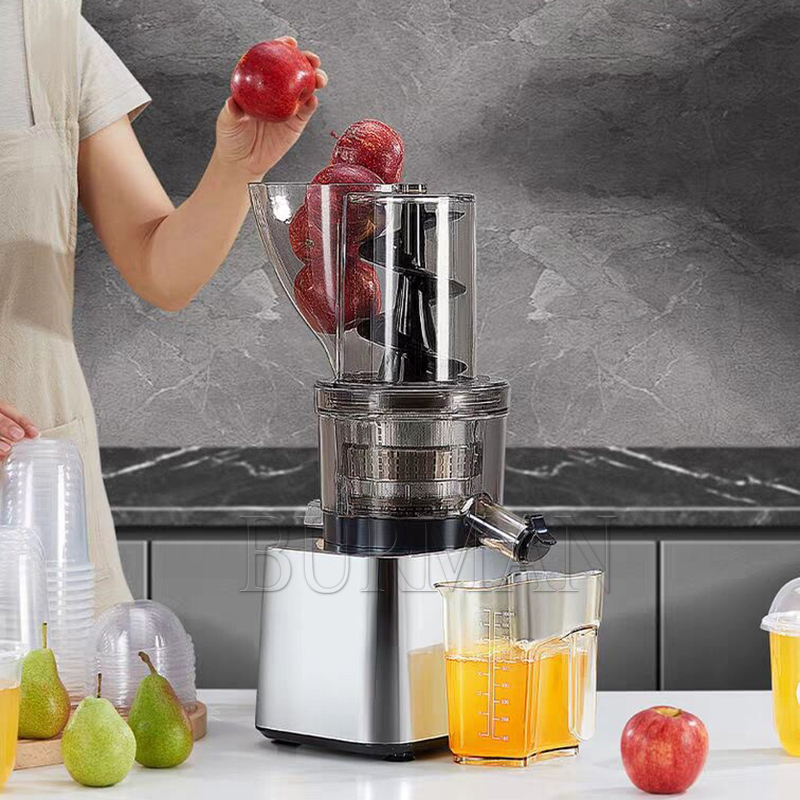 500W Commercial Use Home Use S - đánh giá và giá Juicer Cold Press Slow